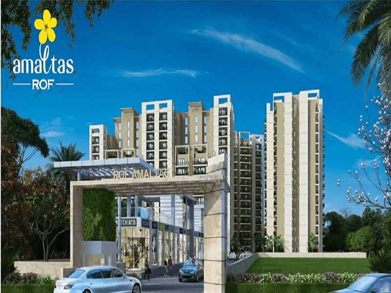 Paradise Consulting ROF Amaltas 92